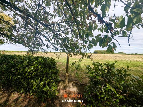 Maison familiale 150 m² avec grand jardin arboré – proche Tours