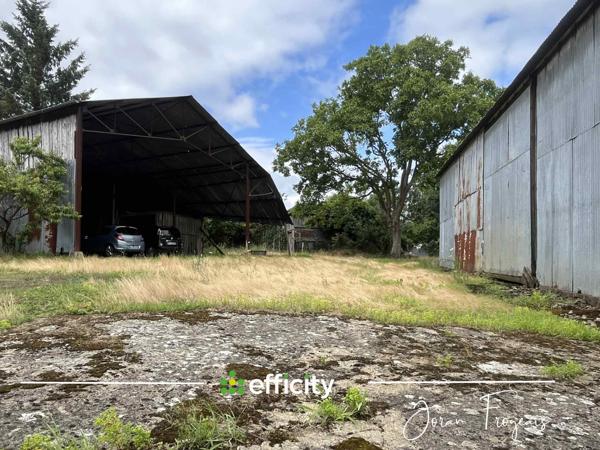 Maison 3 pièces - 300 m²