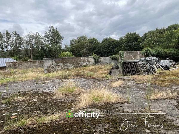 Maison 3 pièces - 300 m²