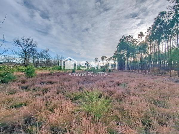 Terrain constructible