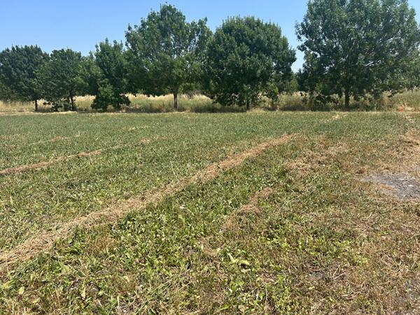 17113 MORNAC SUR SEUDRE MORNAC SUR SEUDRE