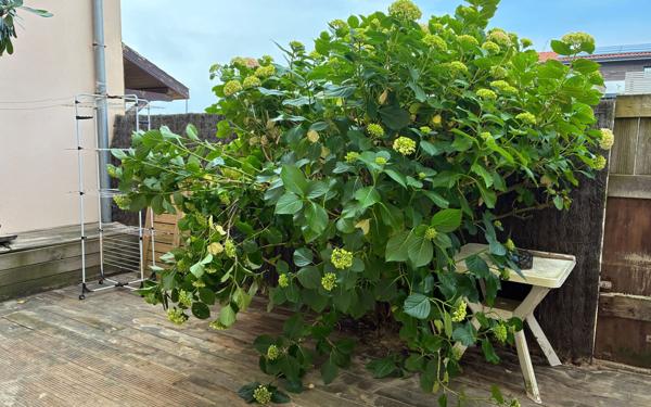 Appartement à vendre    3 pièces • 45,30 m2 Seignosse