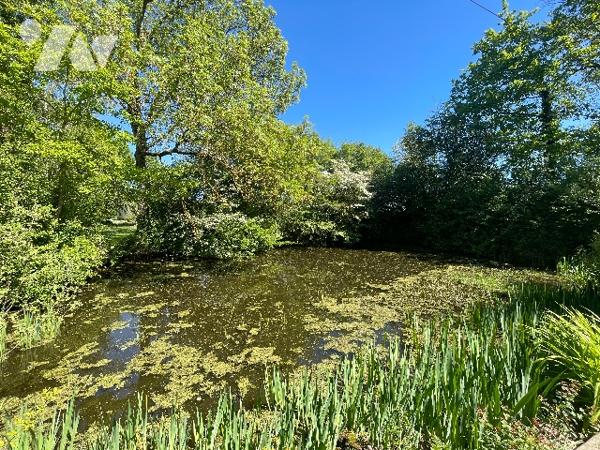 Charme et authenticité au cœur de la campagne – propriété pleine de potentiel