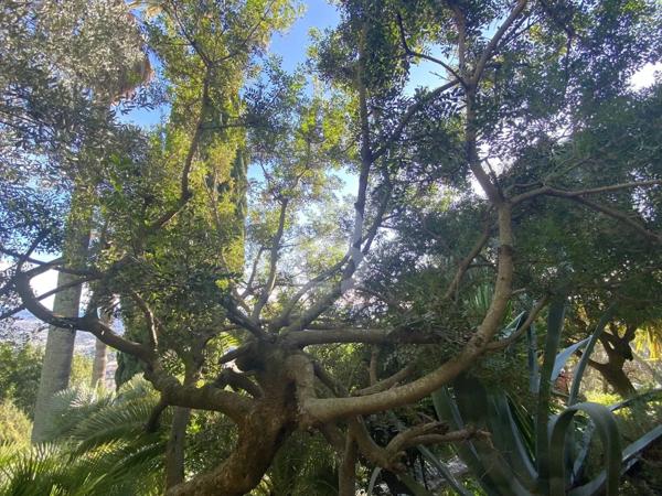 EXCLUSIVITE - Maison d’artiste Art-Déco florentin à Grasse – Quartier Rothschild