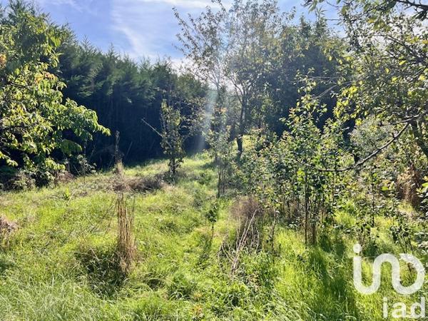 Terrain à vendre 618 m² Carbonne