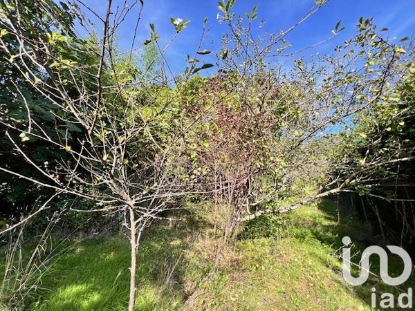 Terrain à vendre 618 m² Carbonne