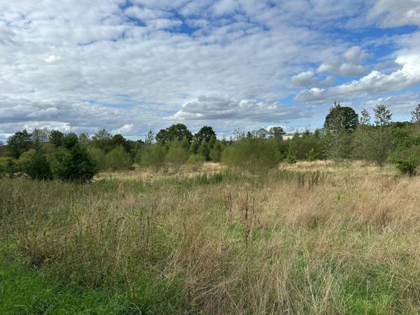 PROPRIÉTÉ RURALE D'EXCEPTION EN PIERRE proche CARROUGES sur terrain de 2ha - DPE C (pompe à chaleur)