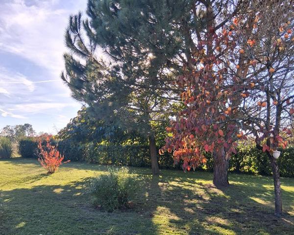 A vendre Maison sur 2 niveaux Haut Mauco 3 chambres clim réversible garage piscine