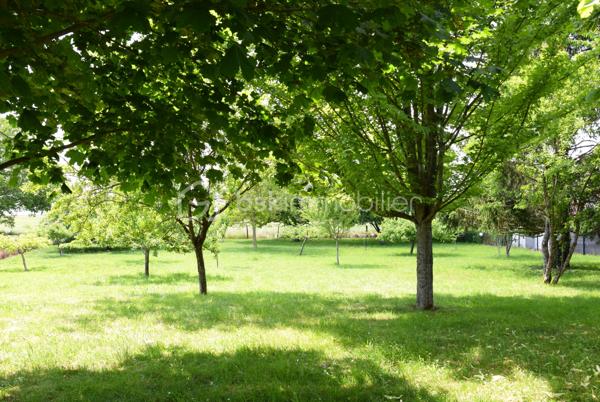 Dans un village calme à 10 min de Provins, venez découvrir cette belle maison pleine de charme de 192m² environ.
Vous serez séduit par son grand séjour avec la cuisine ouverte de 51m² environ, sa véranda pleine de lumière, les 4 chambres, dont une au rez-de-chaussée avec salle d’eau. Il y a possibilité de créer une pièce pour un bureau, chambre ou dressing. Vous avez aussi 2 mezzanines qui peuvent être aménagées en bureau, salle de jeu ou autres. Un grenier aménageable et une cave viennent compléter le bien.
Côté extérieur, vous avez un jardin de 2900m² environ, un puits pour l’arrosage du potager, une terrasse sans vis-à-vis, un beau verger avec plusieurs espèces d’arbre fruitier.
Et pour finir, la maison possède un ballon thermodynamique, panneau photovoltaïque, PAC air/air. 
Venez découvrir cette maison qui n’attend plus que vous.