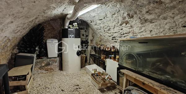 Dans un village calme à 10 min de Provins, venez découvrir cette belle maison pleine de charme de 192m² environ.
Vous serez séduit par son grand séjour avec la cuisine ouverte de 51m² environ, sa véranda pleine de lumière, les 4 chambres, dont une au rez-de-chaussée avec salle d’eau. Il y a possibilité de créer une pièce pour un bureau, chambre ou dressing. Vous avez aussi 2 mezzanines qui peuvent être aménagées en bureau, salle de jeu ou autres. Un grenier aménageable et une cave viennent compléter le bien.
Côté extérieur, vous avez un jardin de 2900m² environ, un puits pour l’arrosage du potager, une terrasse sans vis-à-vis, un beau verger avec plusieurs espèces d’arbre fruitier.
Et pour finir, la maison possède un ballon thermodynamique, panneau photovoltaïque, PAC air/air. 
Venez découvrir cette maison qui n’attend plus que vous.