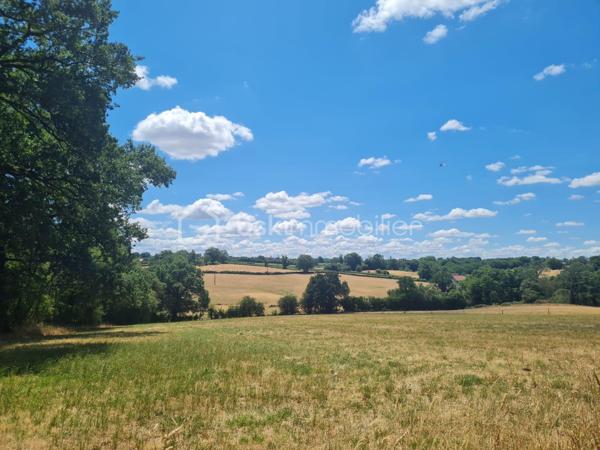 Beau potentiel pour cet ensemble immobilier à rénover, sur plus de 3 hectares de terrain, situé dans un hameau paisible et à 5mn des commerces !
Cet ensemble comprend, une charmante petite maison à rénover entièrement , soit en l'état 28m²+15m² de grenier, dépendances attenantes possibilité 95m²habitables , en face une très jolie grange de 79m² en bon état avec hangar attenant sur son terrain de 700m² environ. 
Les plus +++ Puit , verger , jolie vue dégagée , ruisseau en bas du terrain , tranquillité et proches des commodités !
Idéal pour propriétaires de chevaux / animaux .