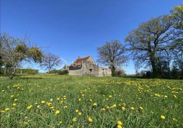 Beau potentiel pour cet ensemble immobilier à rénover, sur plus de 3 hectares de terrain, situé dans un hameau paisible et à 5mn des commerces !
Cet ensemble comprend, une charmante petite maison à rénover entièrement , soit en l'état 28m²+15m² de grenier, dépendances attenantes possibilité 95m²habitables , en face une très jolie grange de 79m² en bon état avec hangar attenant sur son terrain de 700m² environ. 
Les plus +++ Puit , verger , jolie vue dégagée , ruisseau en bas du terrain , tranquillité et proches des commodités !
Idéal pour propriétaires de chevaux / animaux .