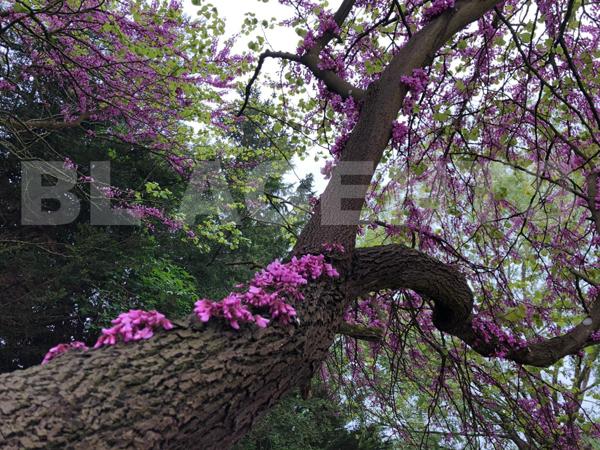 Domaine d'exception niché au cœur d'un domaine de plus de 4,5 hectares 