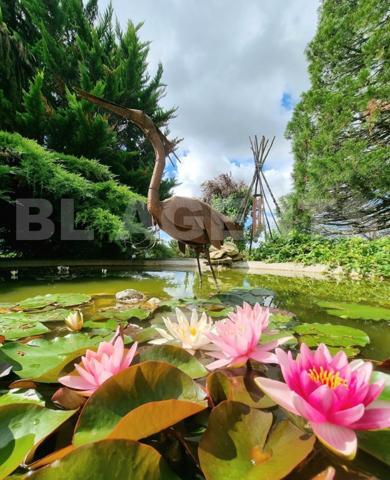 Domaine d'exception niché au cœur d'un domaine de plus de 4,5 hectares 