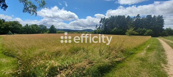 Terrain - 10021 m² Exclusivité efficity