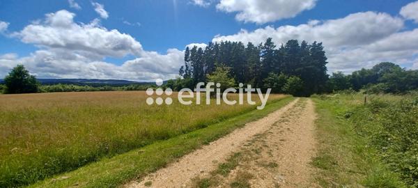 Terrain - 10021 m² Exclusivité efficity