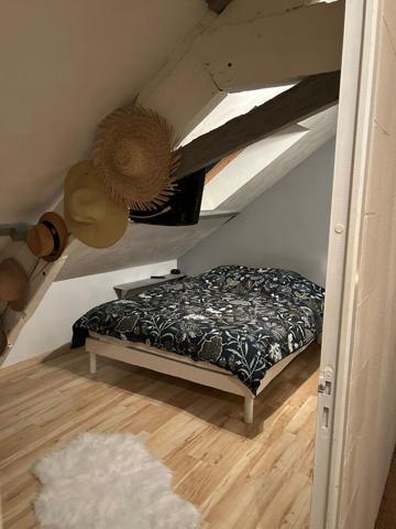 Achat maison près de ANCENIS SAINT GEREON - 9 pièce(s) - 380 m² - 583 000 €