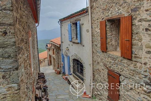 Saint-Marsal (66110) Maison de Charme à Saint Marsal