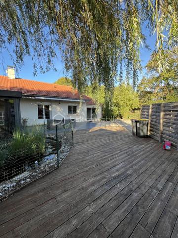 A Fors - Sanguinières, beau plain pied de 126 m² habitables comprenant salon, salle à manger et cuisine aménagée et équipée, grande arrière cuisine et buanderie, véranda sur terrasse, wc, couloir avec placard, trois chambres, salle d'eau. Terrasse avec bassin à carpes Koï, coin spa 6 places couvert, piscine hors-sol, petit garage enterré. A l'arrière, grand terrain arboré avec fruitiers, poulailler et dépendance.
Poêle à pellets, cheminée avec insert, ballon 300 l, adoucisseur d'eau, portail électrique. 
Venez voir par vous-même…