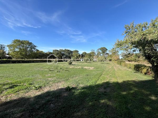 A Fors - Sanguinières, beau plain pied de 126 m² habitables comprenant salon, salle à manger et cuisine aménagée et équipée, grande arrière cuisine et buanderie, véranda sur terrasse, wc, couloir avec placard, trois chambres, salle d'eau. Terrasse avec bassin à carpes Koï, coin spa 6 places couvert, piscine hors-sol, petit garage enterré. A l'arrière, grand terrain arboré avec fruitiers, poulailler et dépendance.
Poêle à pellets, cheminée avec insert, ballon 300 l, adoucisseur d'eau, portail électrique. 
Venez voir par vous-même…