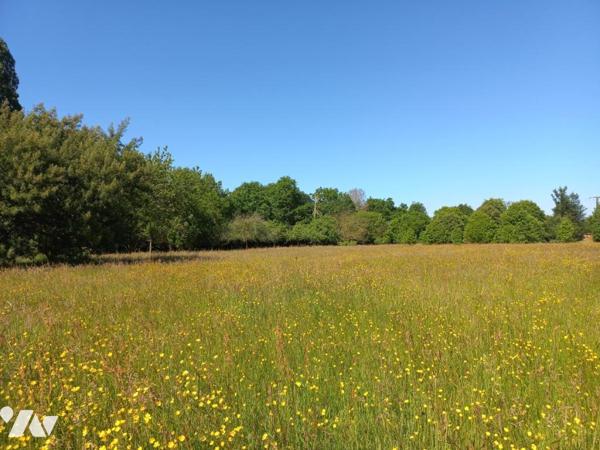 Longère en campagne de Lamballe