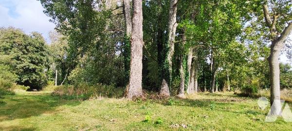 Villa de 190m² aux beaux volumes avec vaste terrain boisé à CUCQ