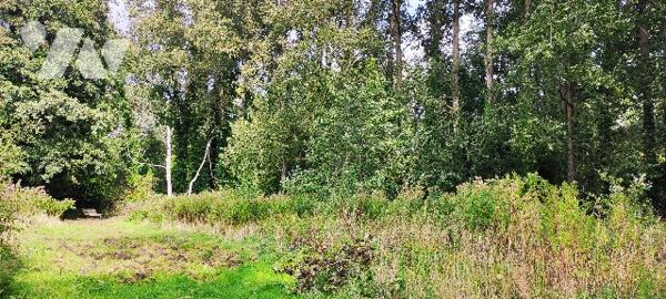 Villa de 190m² aux beaux volumes avec vaste terrain boisé à CUCQ