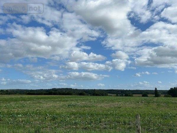 Maison à vendre à Baugé-en-Anjou dans le Maine-et-Loire (49150), ref : LB/2553   
campagne