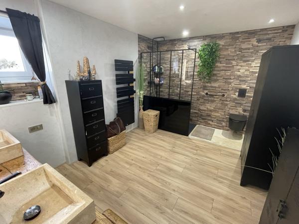 BELLE MAISON POITEVINE RENOVEE AVEC PISCINE
