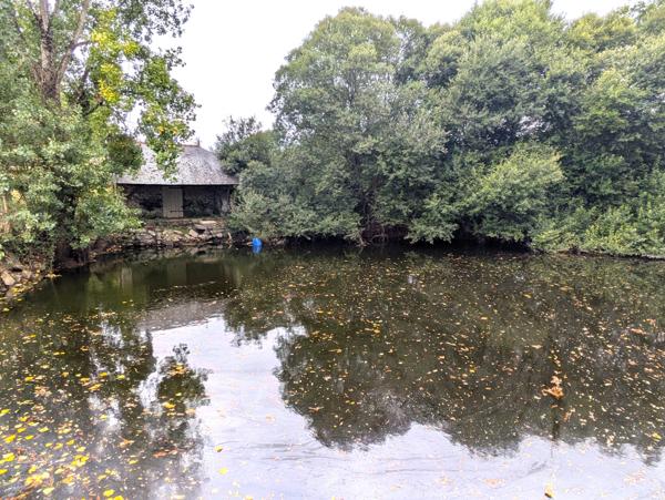Château à fort potentiel + dépendances