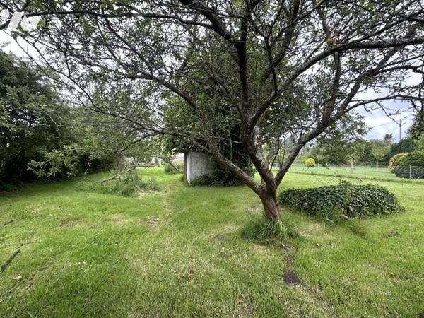 Pavillon individuel sur sous-sol SAINT-VAAST-LA-HOUGUE (50550)
