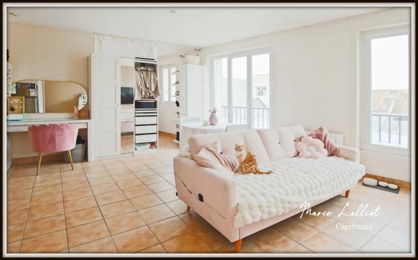 Immeuble de Rapport à vendre PUISEAUX (45), 2 Studios, 2 F2, Garages indépendants