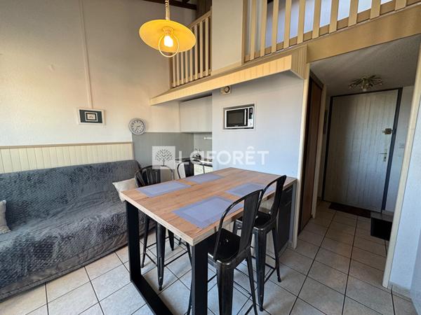 Location appartement près de CANET EN ROUSSILLON - 1 pièce(s) - 28 m² - 650 €/mois