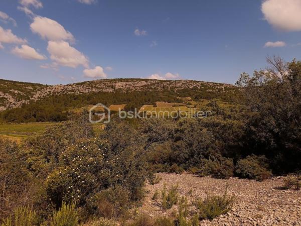 Terrain agricole de 12 490 m²