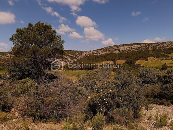 Terrain agricole de 12 490 m²