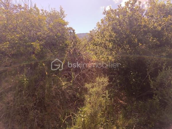 Terrain agricole de 12 490 m²