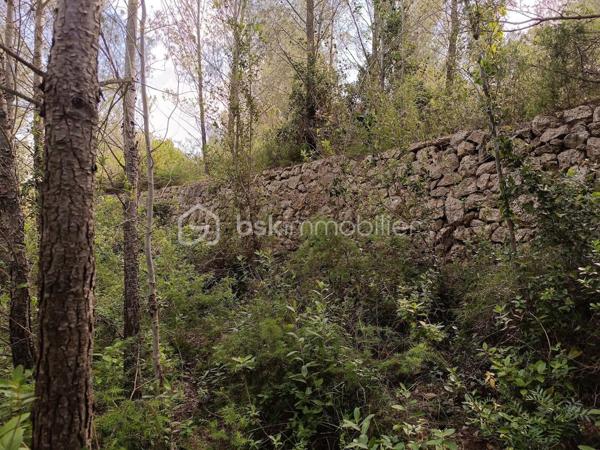 Terrain agricole de 12 490 m²