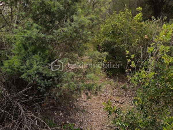 Terrain agricole de 12 490 m²