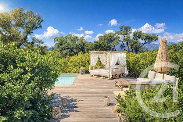 Maison à vendre  6 pièces - 225 m2 LECCI - 201