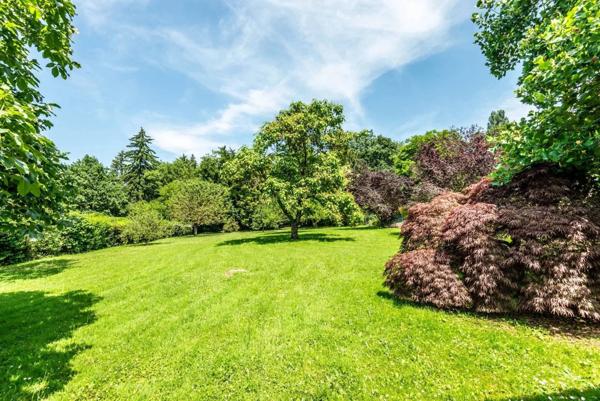 Terrain constructible à Fessy – rare sur le marché !