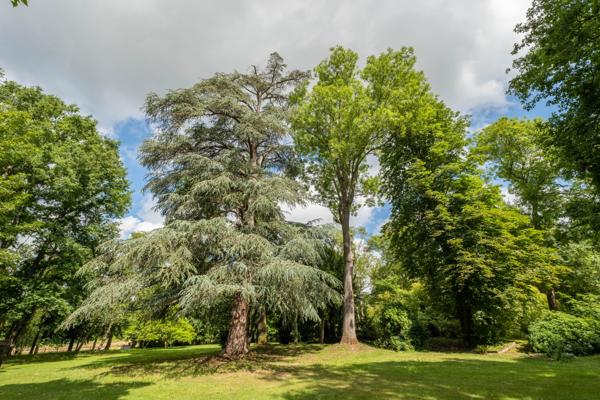 Maison à vendre à Tournan-en-Brie (77220) - Seine-et-Marne