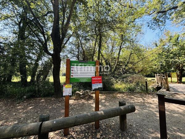 Entre nature, lumière et sérénité, 2P Terrasse – Parking - Piscine