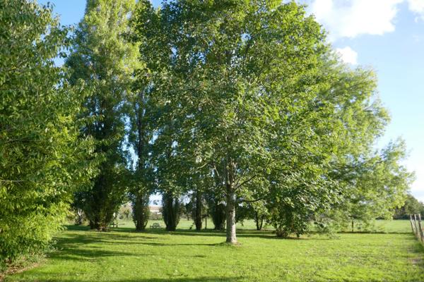 Maison - 11 pièces - 286 m²