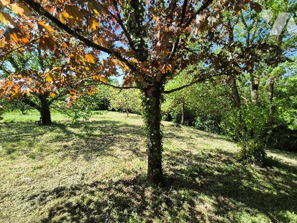 ISLE JOURDAIN (32600), Terrain de 1200m².