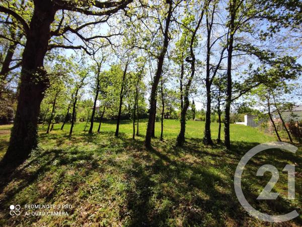 Terrain à vendre  3283 m 2   SAIX  - 81