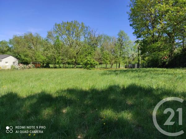 Terrain à vendre  3283 m 2   SAIX  - 81