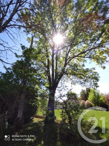 Terrain à vendre  3283 m 2   SAIX  - 81
