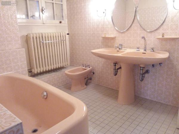 Maison de maître à vendre à Cour-Cheverny dans le Loir-et-Cher (41700), ref : AN 8855