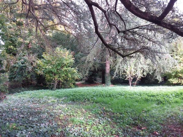Maison de maître à vendre à Cour-Cheverny dans le Loir-et-Cher (41700), ref : AN 8855