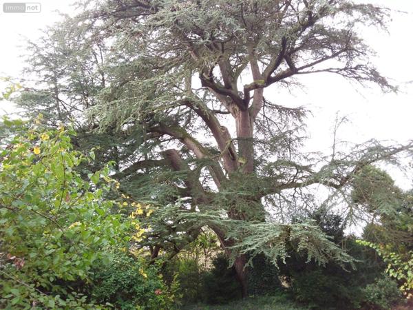Maison de maître à vendre à Cour-Cheverny dans le Loir-et-Cher (41700), ref : AN 8855